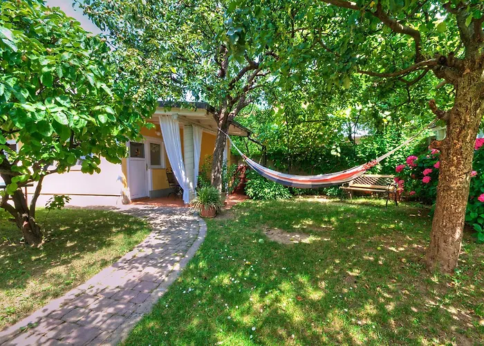 Apartment Your Colourful *